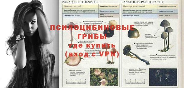 дурь Алексеевка