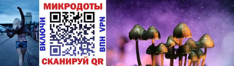 KRAKEN ссылка  Королёв  Псилоцибиновые грибы Psilocybine cubensis  что такое наркотик 